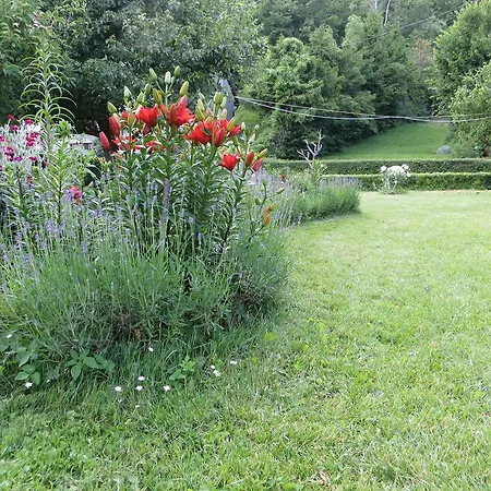 Irena Apartament