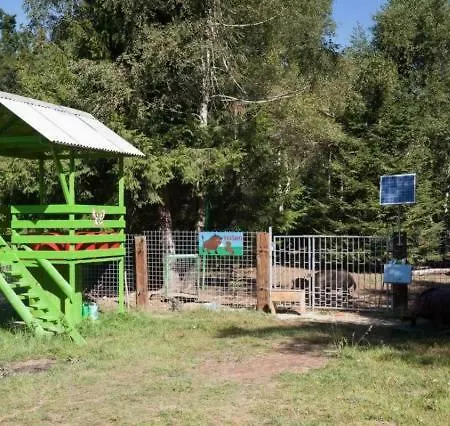 Apartament Irena