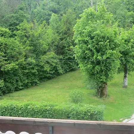 Apartment Irena *