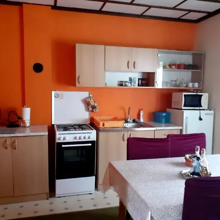 Apartment Irena *